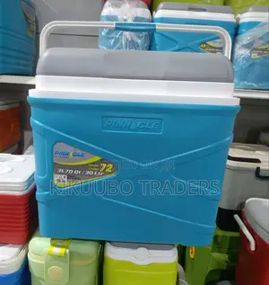 Pinnacle 30l Insulated Ice Cooler Chiller Box
