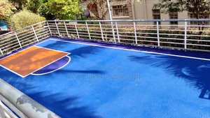 Paint House Basket Ball Painting Concepts Both Mini Standard Courts