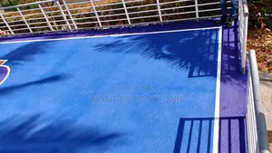 Paint House Basket Ball Painting Concepts Both Mini Standard Courts