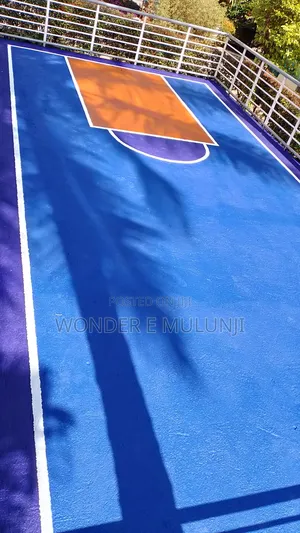 Paint House Basket Ball Painting Concepts Both Mini Standard Courts
