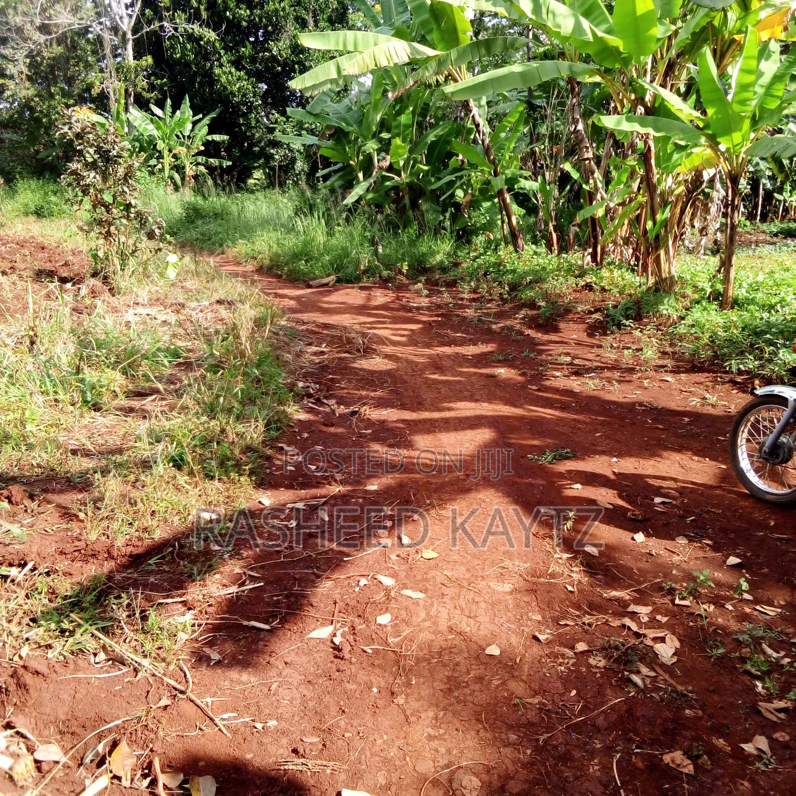 Land in Kirongo, Bugiri
