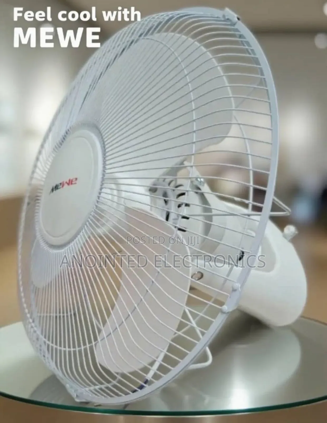 Ceiling and Standing Fan Available