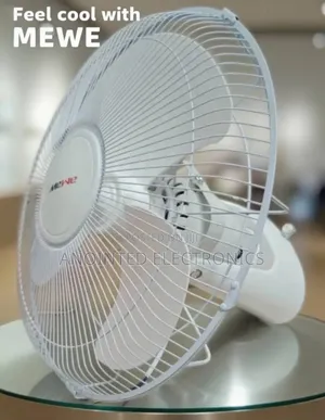 Ceiling and Standing Fan Available