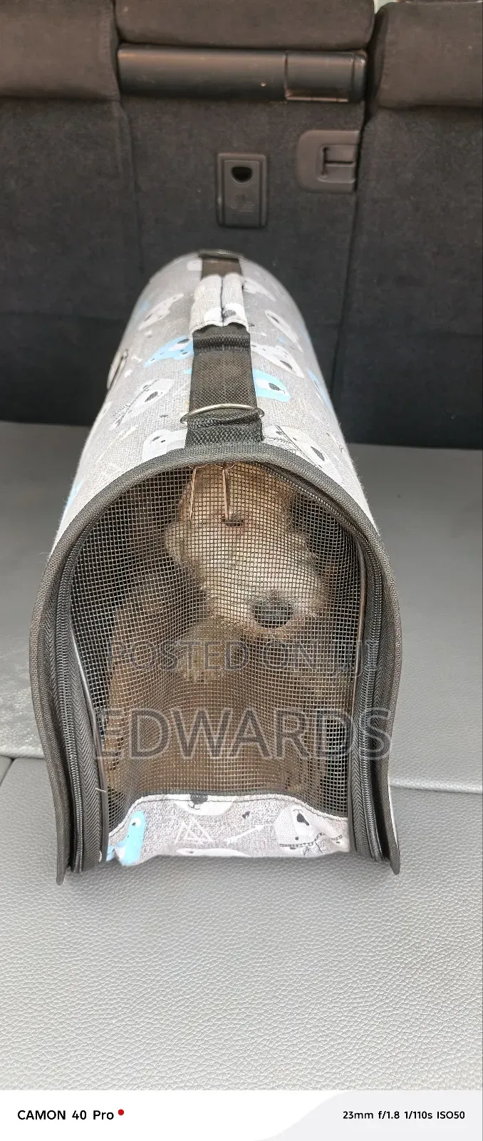 Pet Carrier Sj1