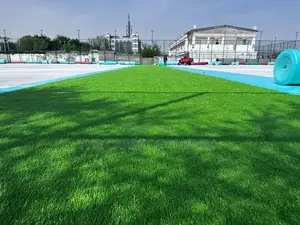 Artificial Tuff Squaremeter
