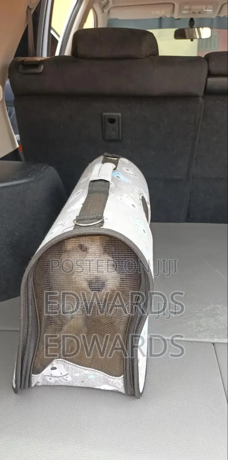 Pet Carrier Sj1