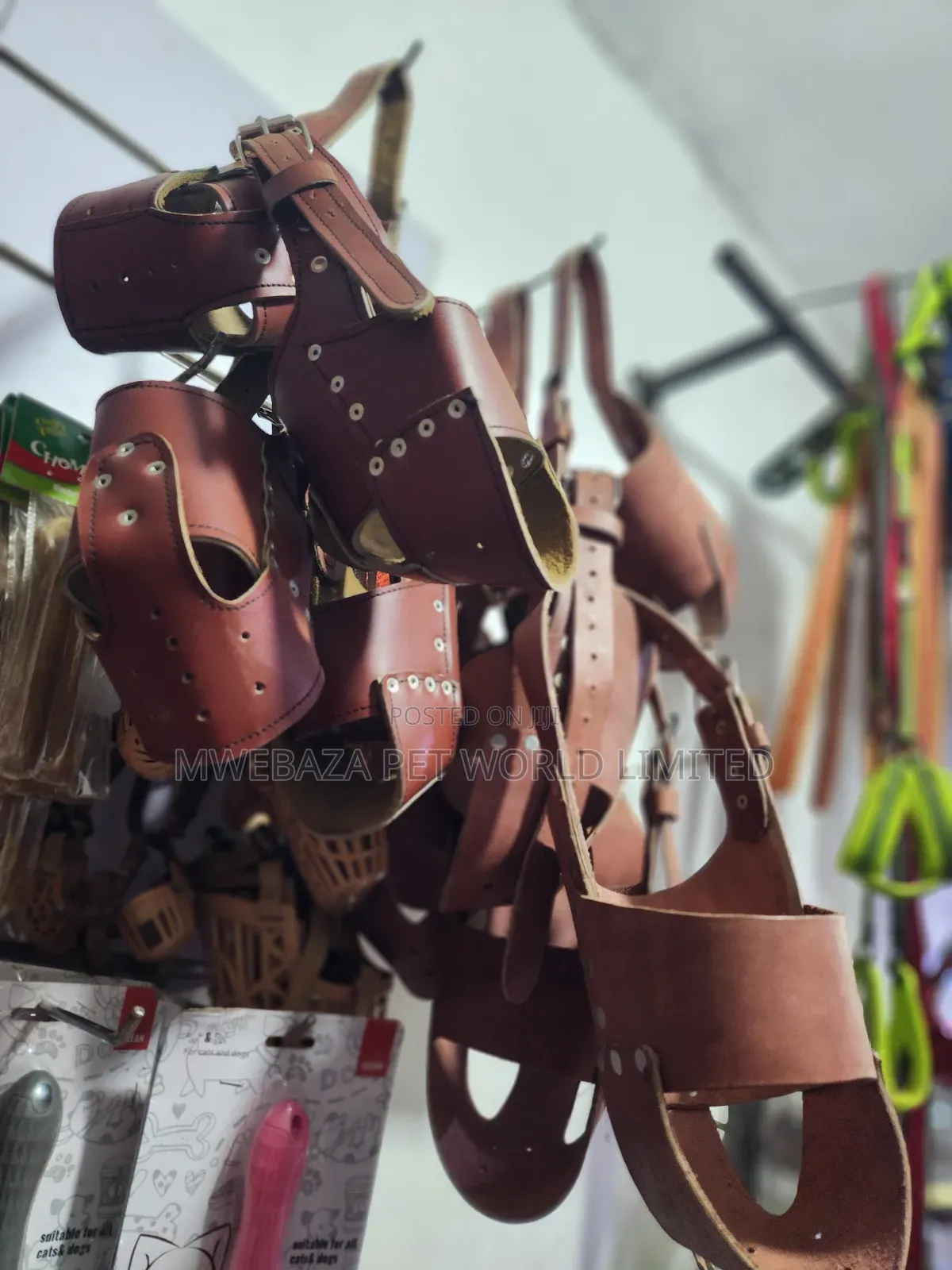 Dogs Masks