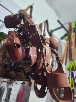 Dogs Masks