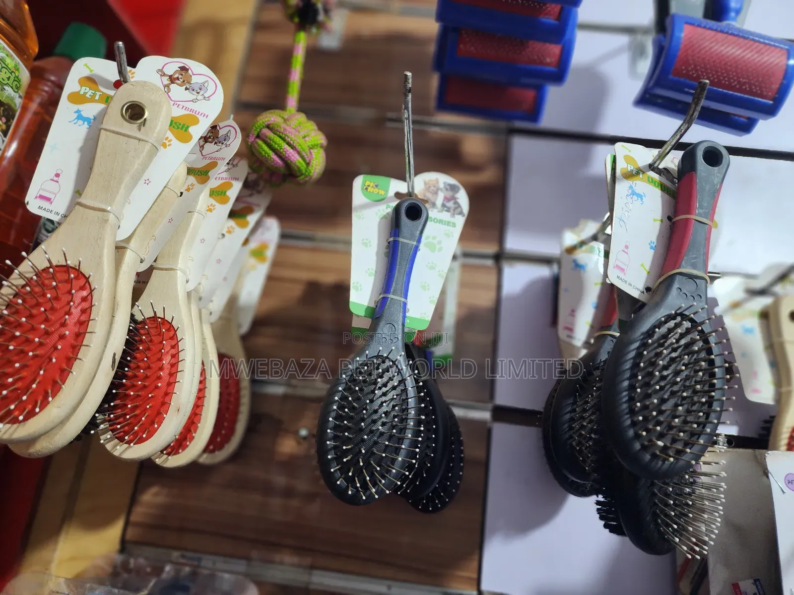 Dogs Accessories