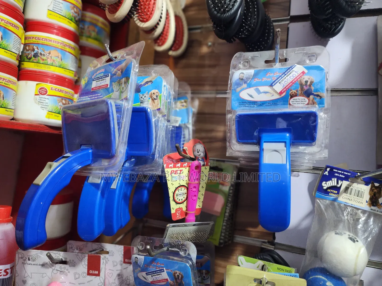 Dogs Accessories