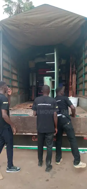Movers and Packers M12
