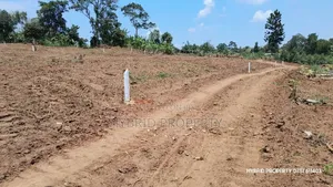 Prime Plots For Sale At Kampiringisa~Muyira Land Estate~Masaka Road.