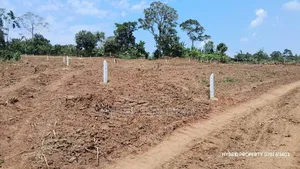 Prime Plots For Sale At Kampiringisa~Muyira Land Estate~Masaka Road.