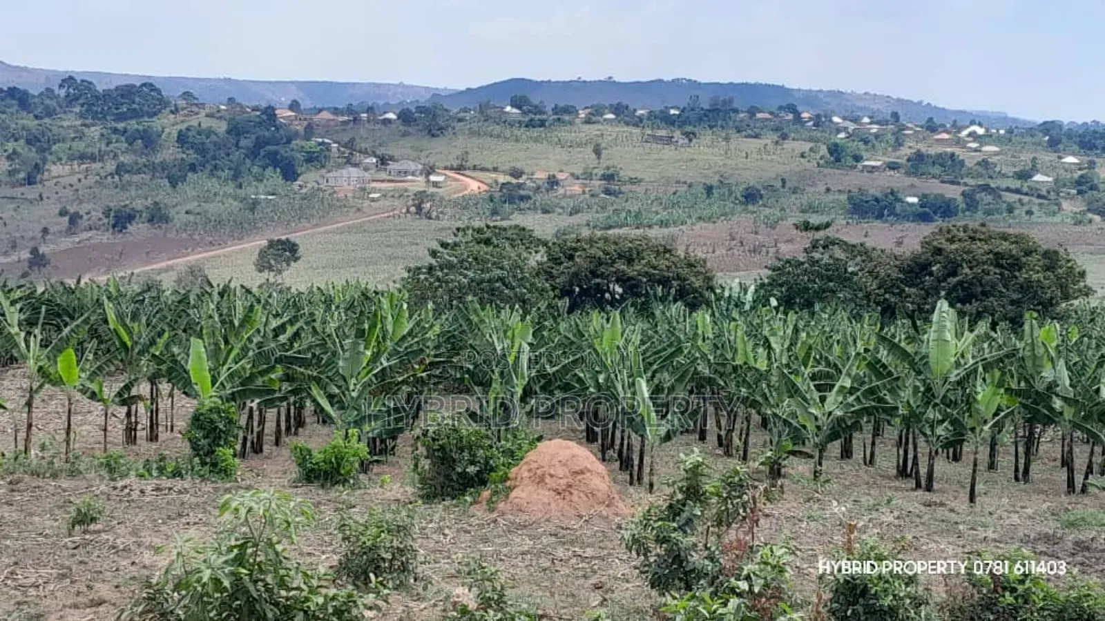 Prime Plots For Sale At Kampiringisa~Muyira Land Estate~Masaka Road.
