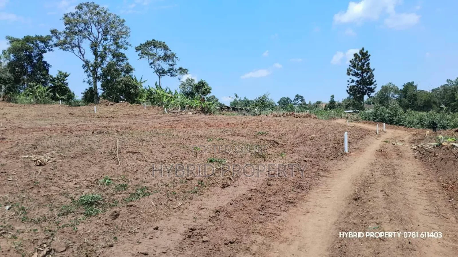 Prime Plots For Sale At Kampiringisa~Muyira Land Estate~Masaka Road.