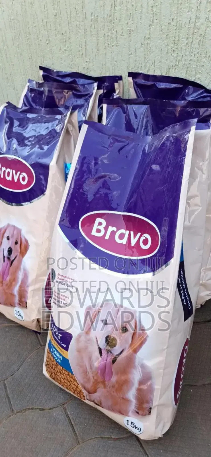 Bravo for Adult Dogs