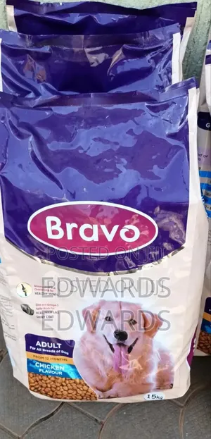 Bravo for Adult Dogs