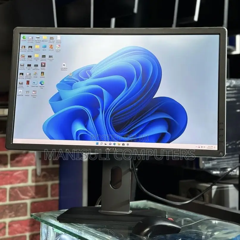 Dell Monitor 24 Inch Screen Ips Dp Display Vga