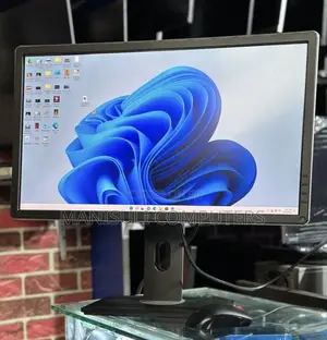 Dell Monitor 24 Inch Screen Ips Dp Display Vga