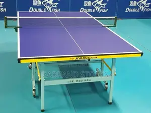 Ping Pong Table/ Table Pool Tenis