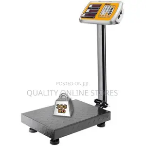 Ingco Hesa33003 Electronic Scale - 300kg - Grey##700,000