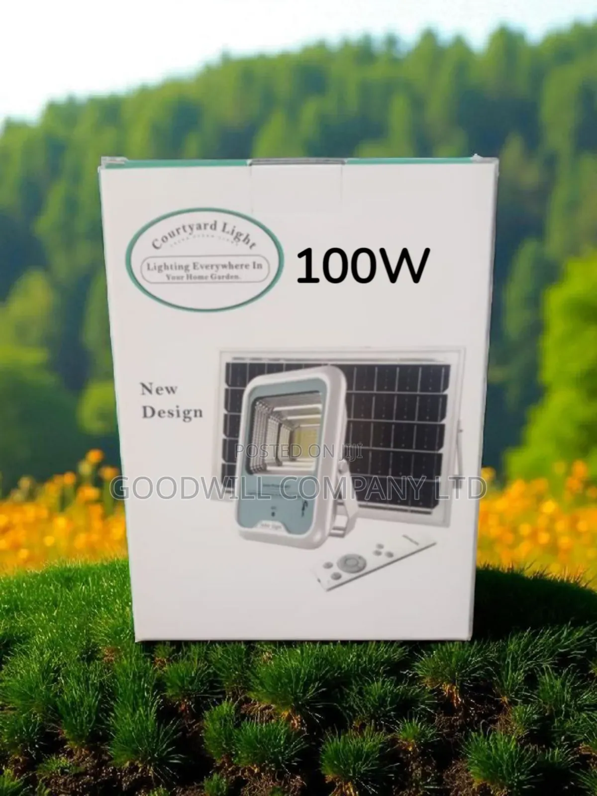 100w Resistant Solar Flood Light