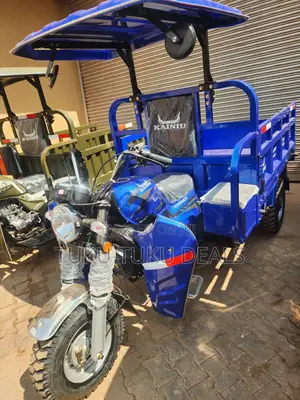 New Tricycle 2025 Blue
