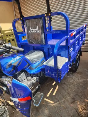 New Tricycle 2025 Blue