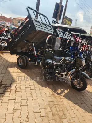 New Tricycle 2025