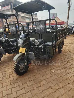 New Tricycle 2025 Black