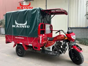 New Tricycle Ihemas 2025