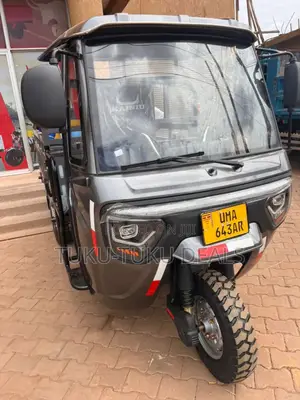 New Tricycle 2025 Green