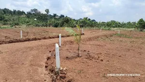 Prime Plots for Sale at Mpambire~Bubuule Land Estate Along Masaka Road