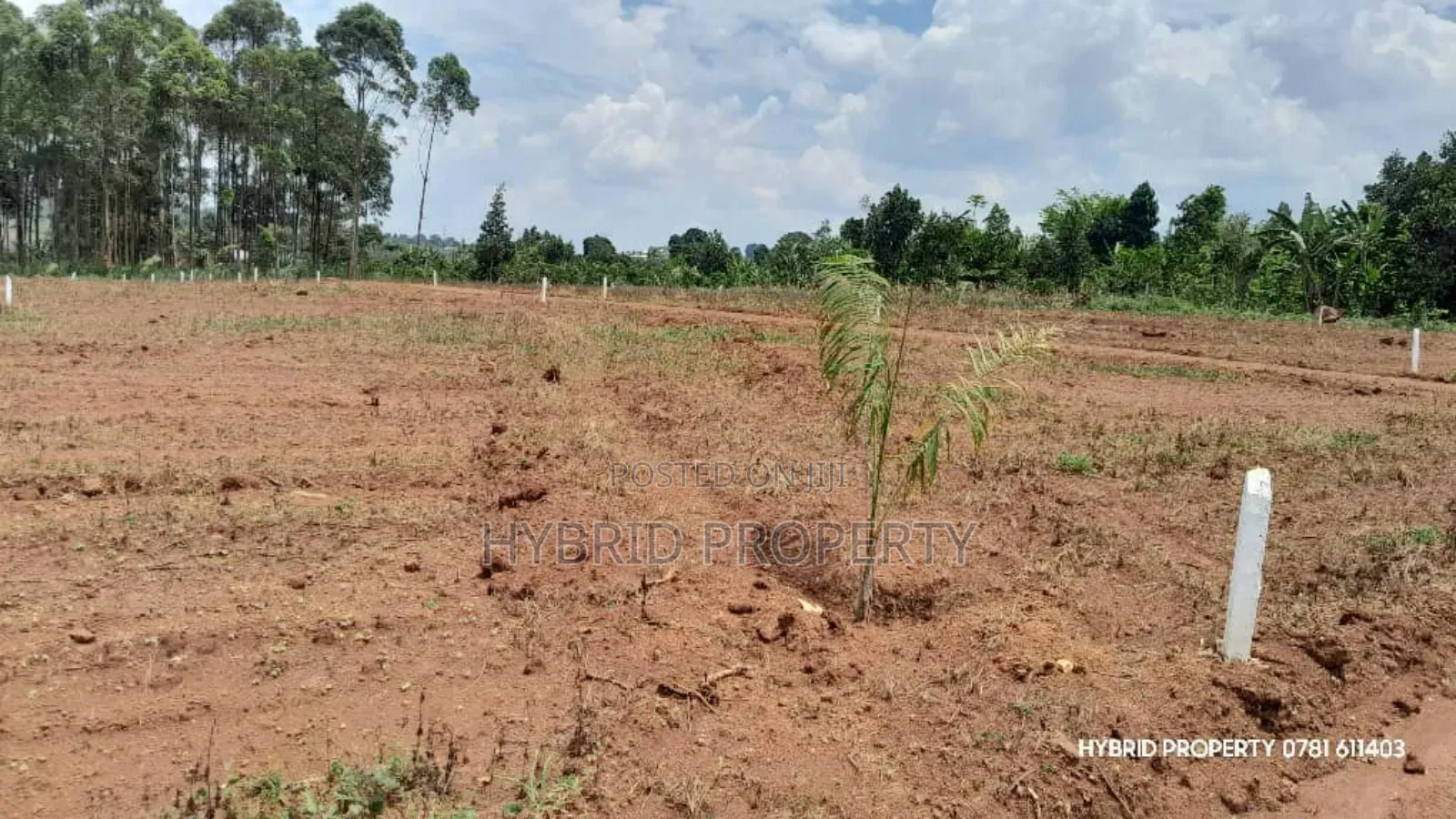 Prime Plots for Sale at Mpambire~Bubuule Land Estate Along Masaka Road