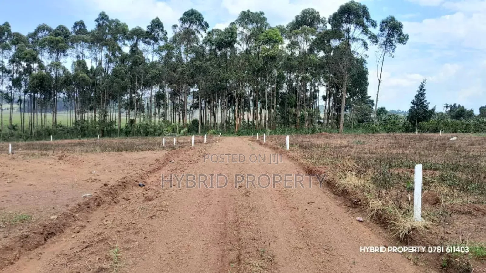 Prime Plots for Sale at Mpambire~Bubuule Land Estate Along Masaka Road