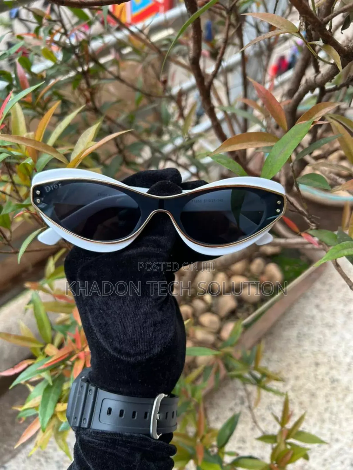 Classic and Original Sunglasses