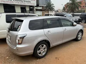 Toyota Corolla Fielder 2010 Silver