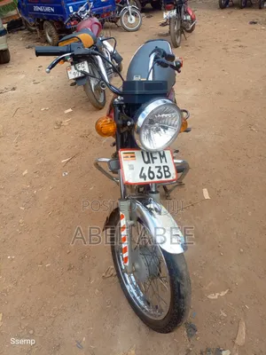 Bajaj Boxer 100 2024 Red