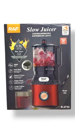 Raf Slow Juicer 300w | Large Caliber 141mm | Stainless Steel Filter