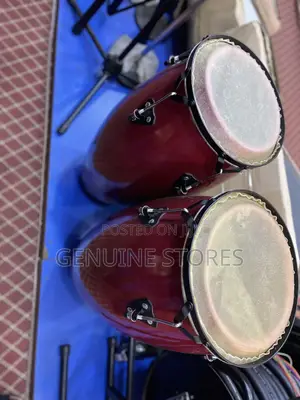Conga Drum Set in a Pair