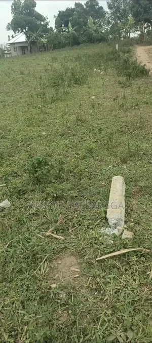 Plot of Land