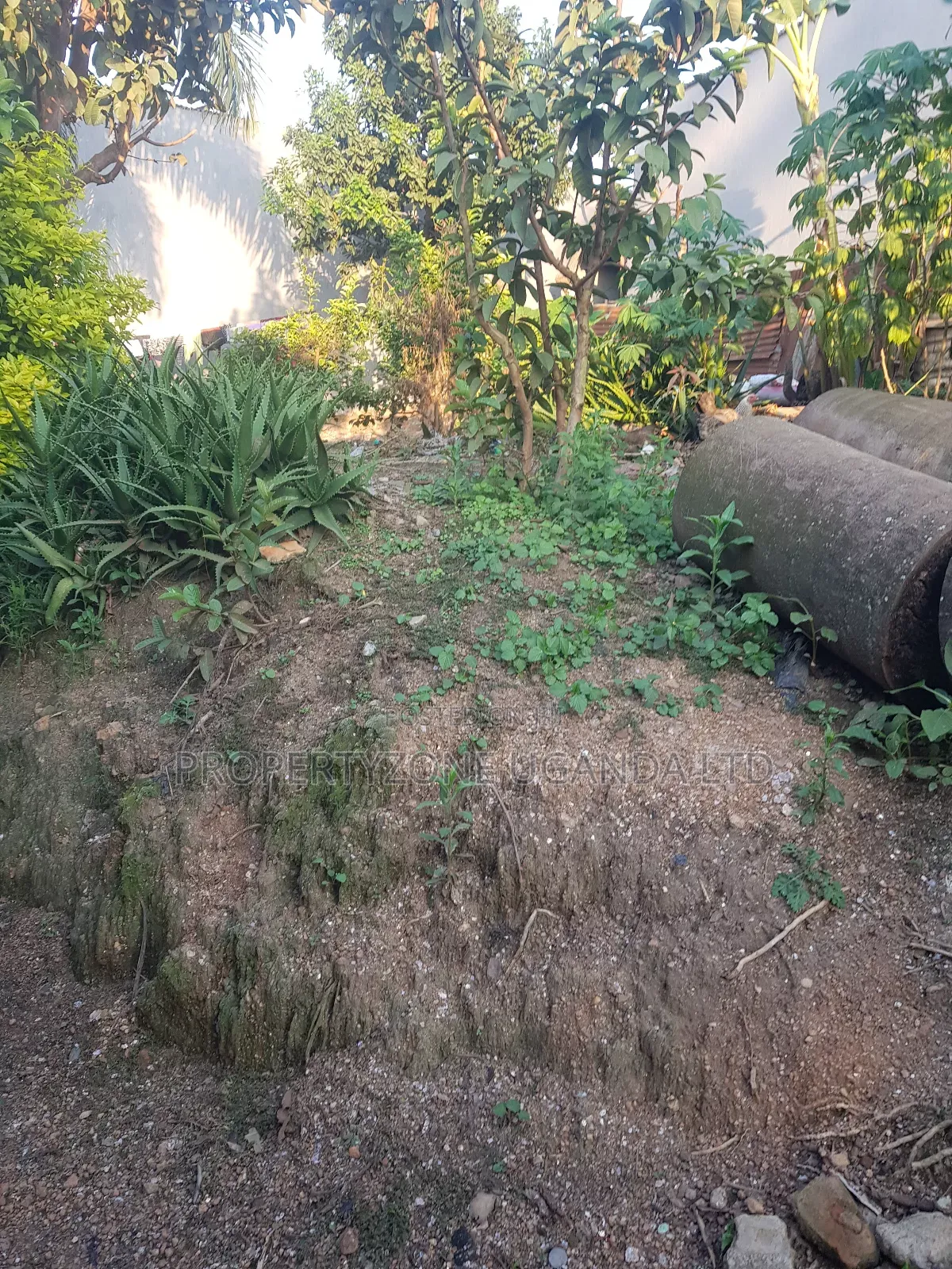 Multipurpose 100x100ft Plot for Sale at Maganjo Stage