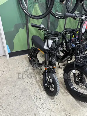 Hurricane Electric Bike