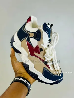 Multicolored Shoe