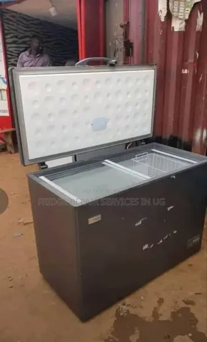 Fridge Repair Services