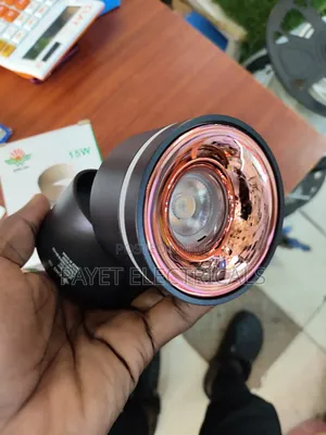 King on 15watts Down Light
