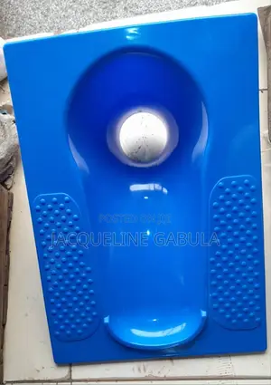 Squatting Toilet