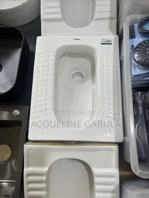 Squatting Toilet