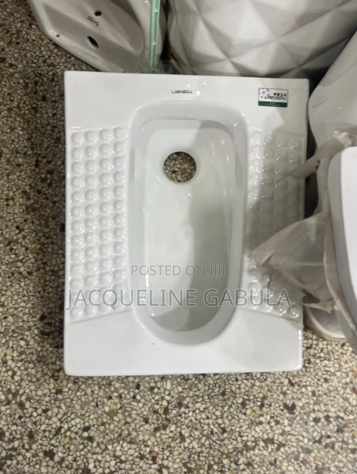 Squatting Toilet