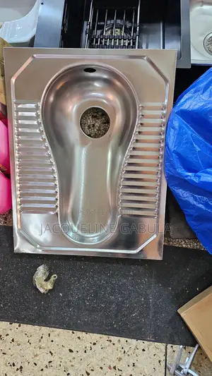 Squatting Toilet